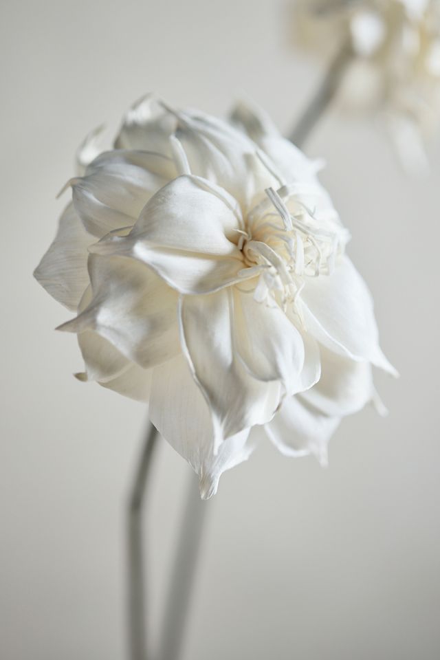 Crafted Botanical Spray, Clematis #1