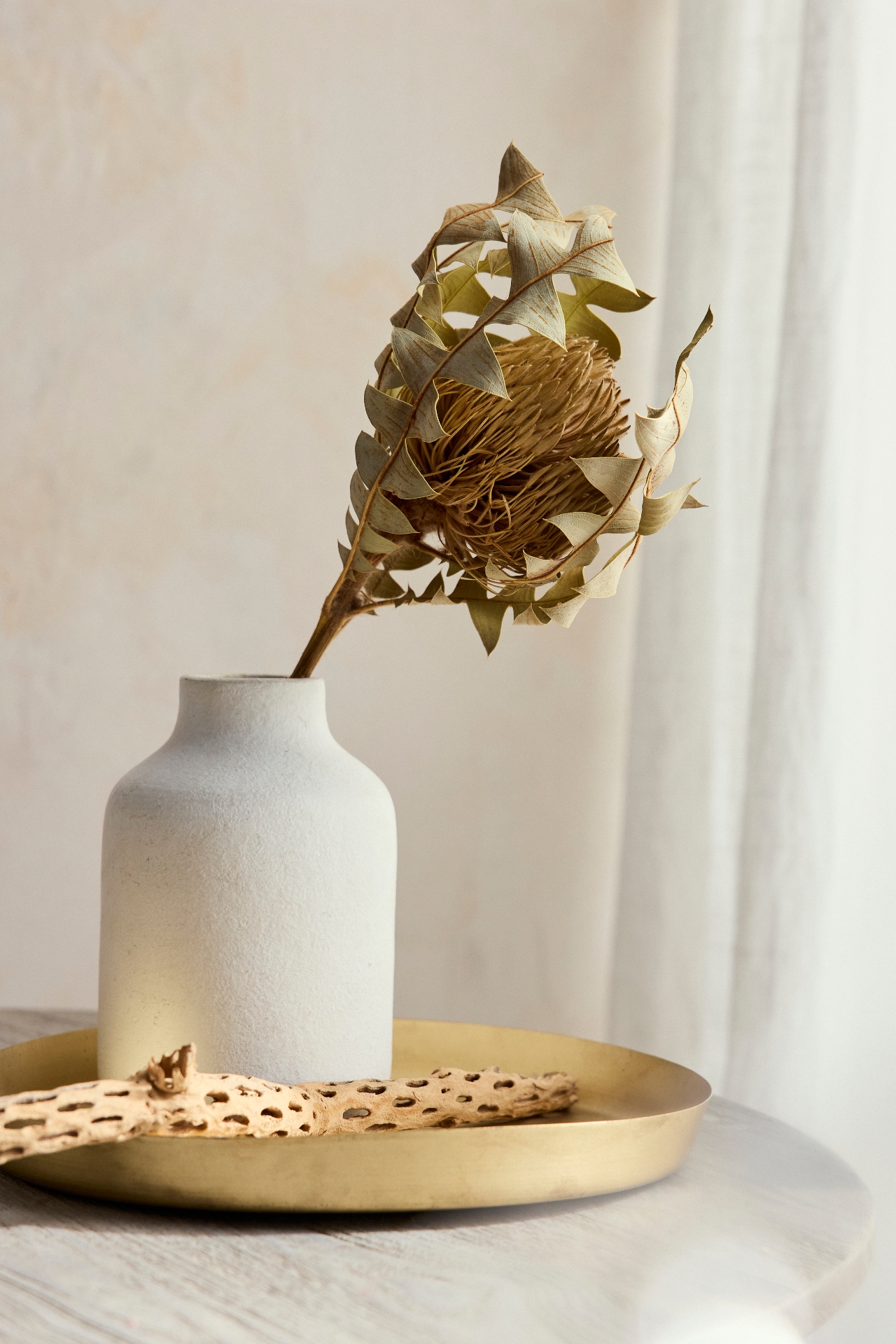 Dried Banksia Baxteri Stem