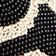 Black & White Pattern