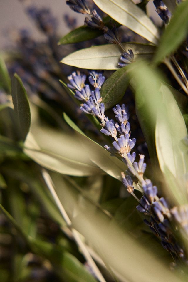 Fresh Lavender + Olive Wreath #1
