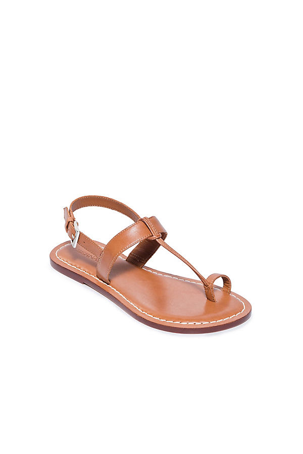 Shop Bernardo Maverick Toe-ring Sandals In Brown