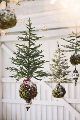 Terrain Moss Ball Mini Artificial Fir Tree