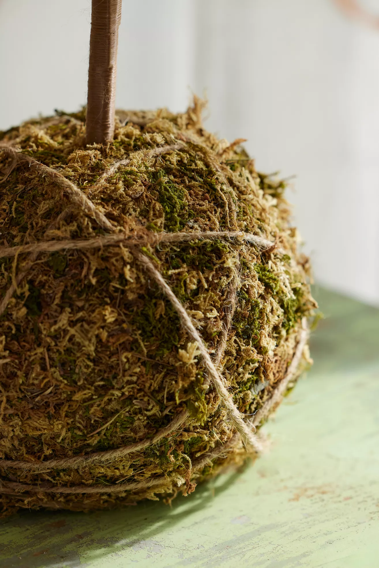 Terrain Moss Ball Mini Artificial Fir Tree - thumbnail 4