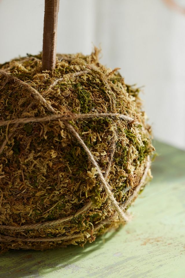 Moss Ball Mini Faux Fir Tree #2