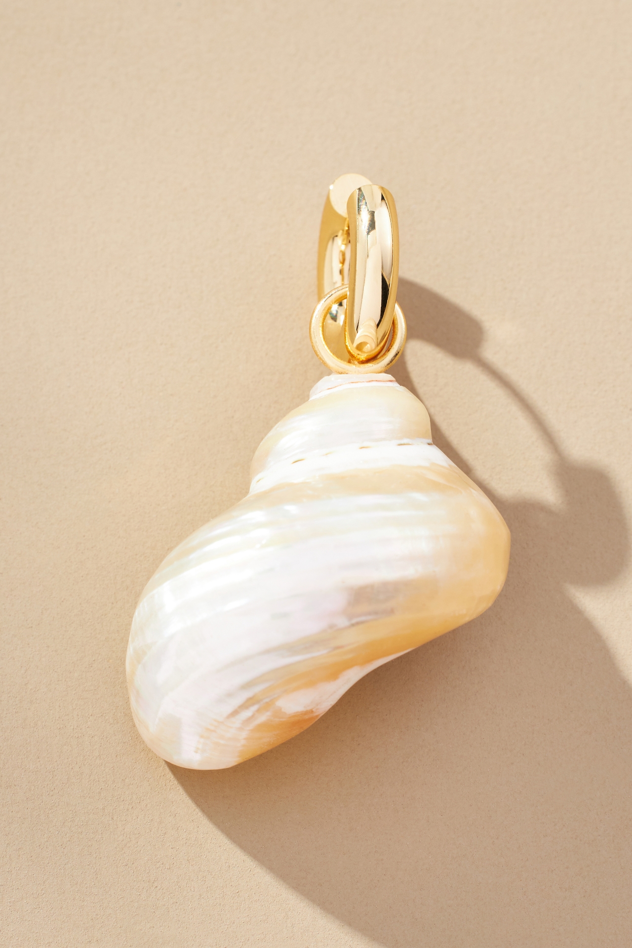 Conch Shell Huggie Earrings