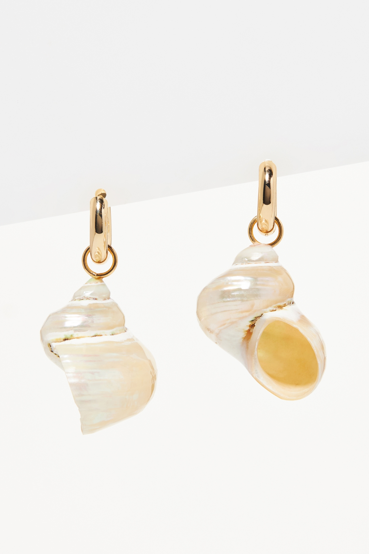 Conch Shell Huggie Earrings