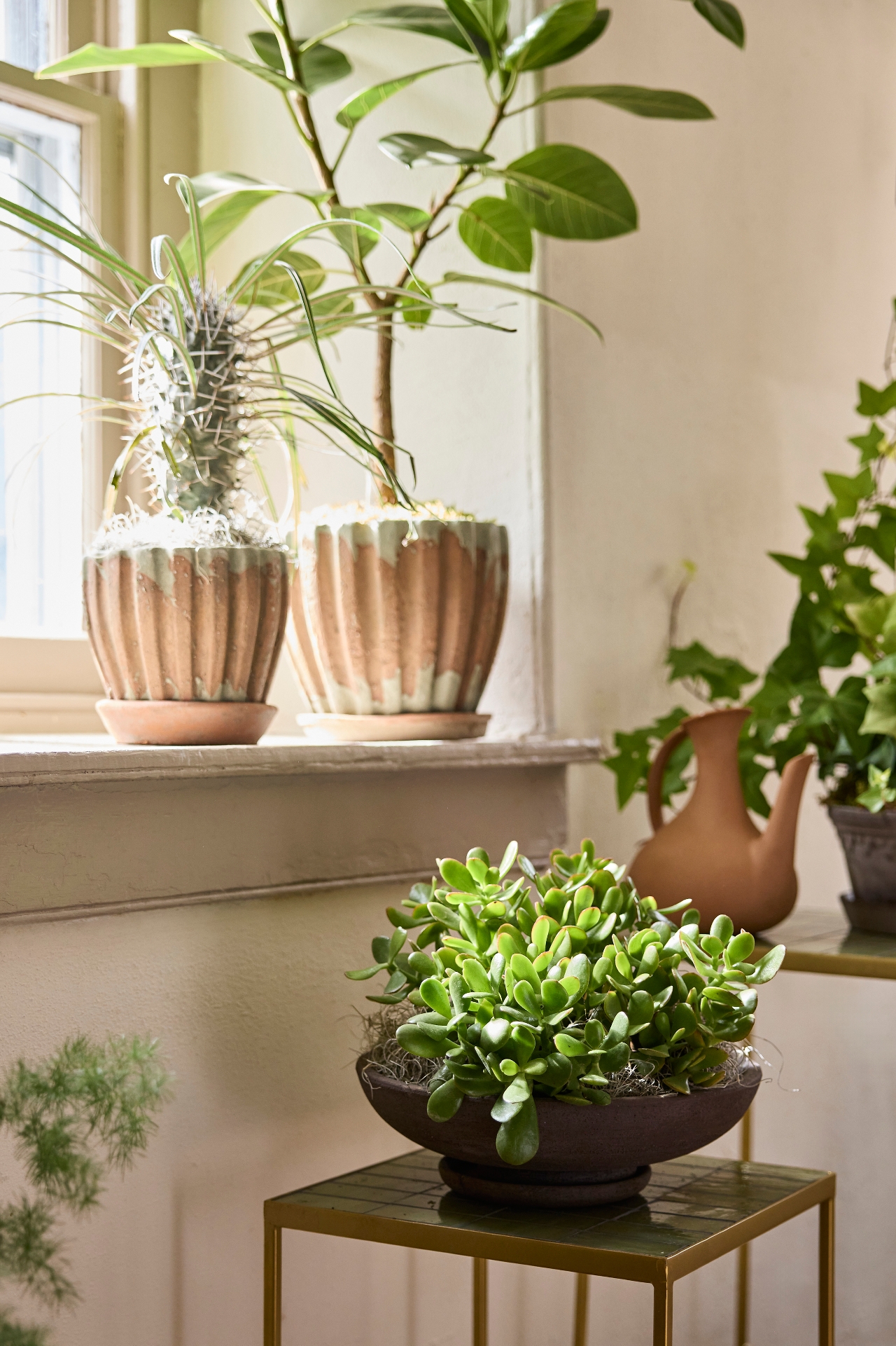 Terracotta Watering Can