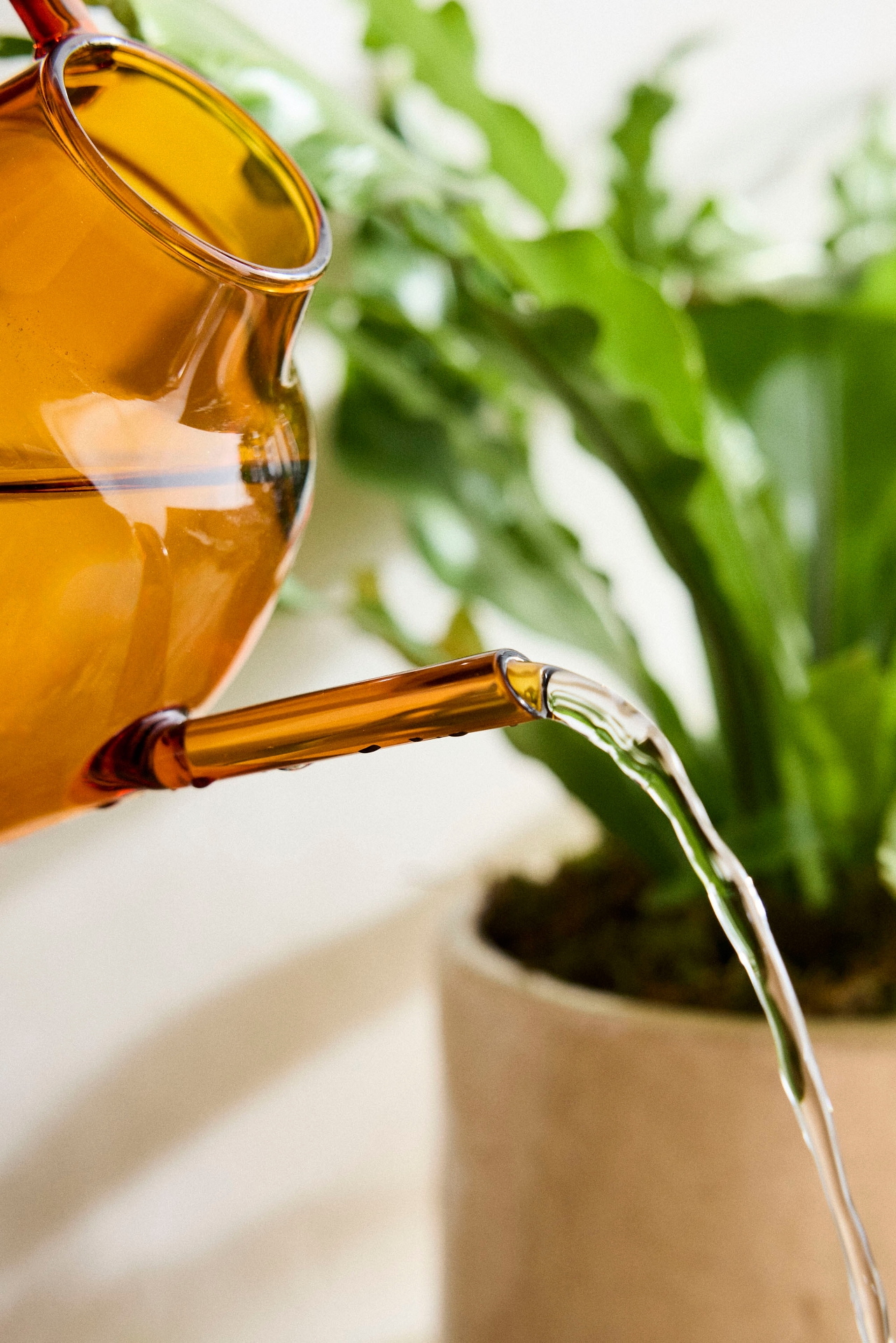 Amber Glass Watering Can