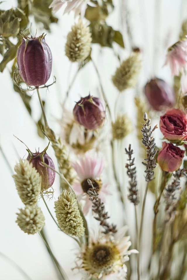 Dried Dutch Field Mix Bouquet, Pink #1