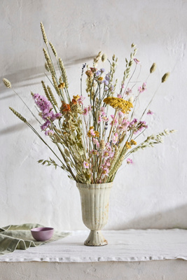 Terrain Dried Dutch Field Mix Bouquet, Multi