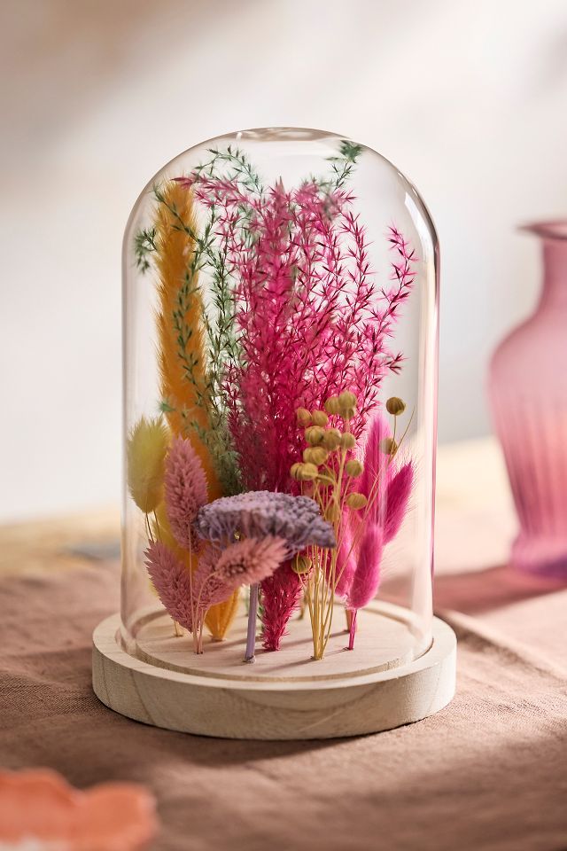 Dried Floral Cloche | AnthroLiving