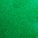 Palm Leaf