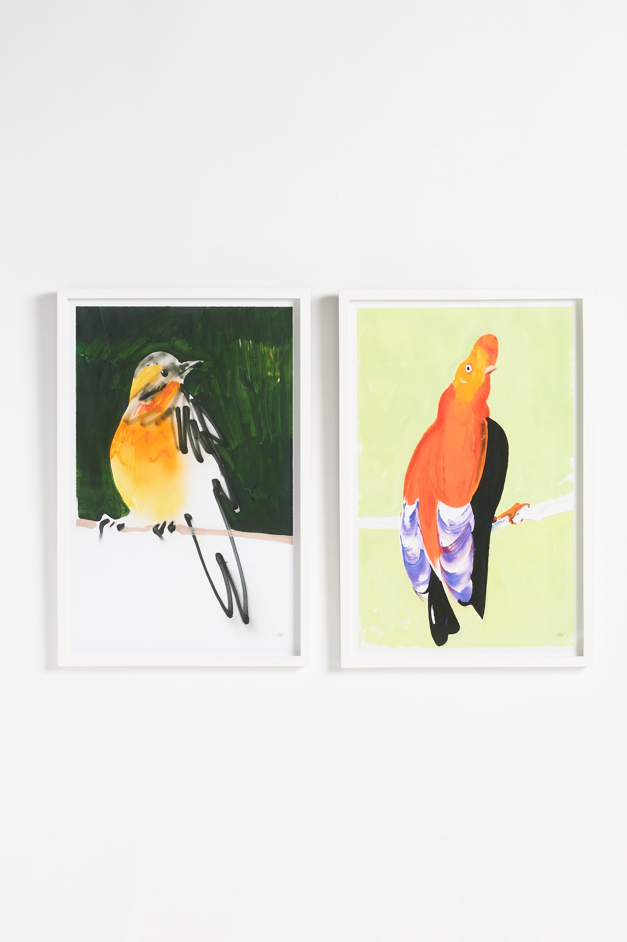 Robin Tunki Wall Art