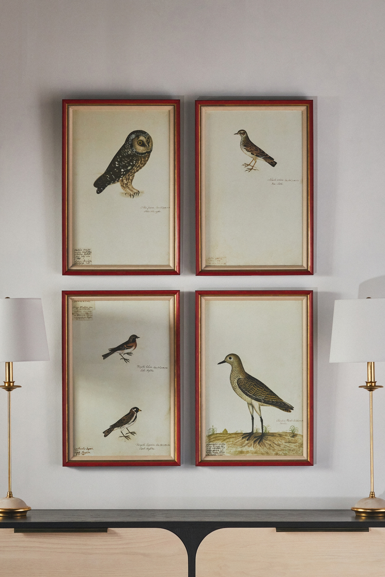 Rudbeck Swedish Birds Wall Art