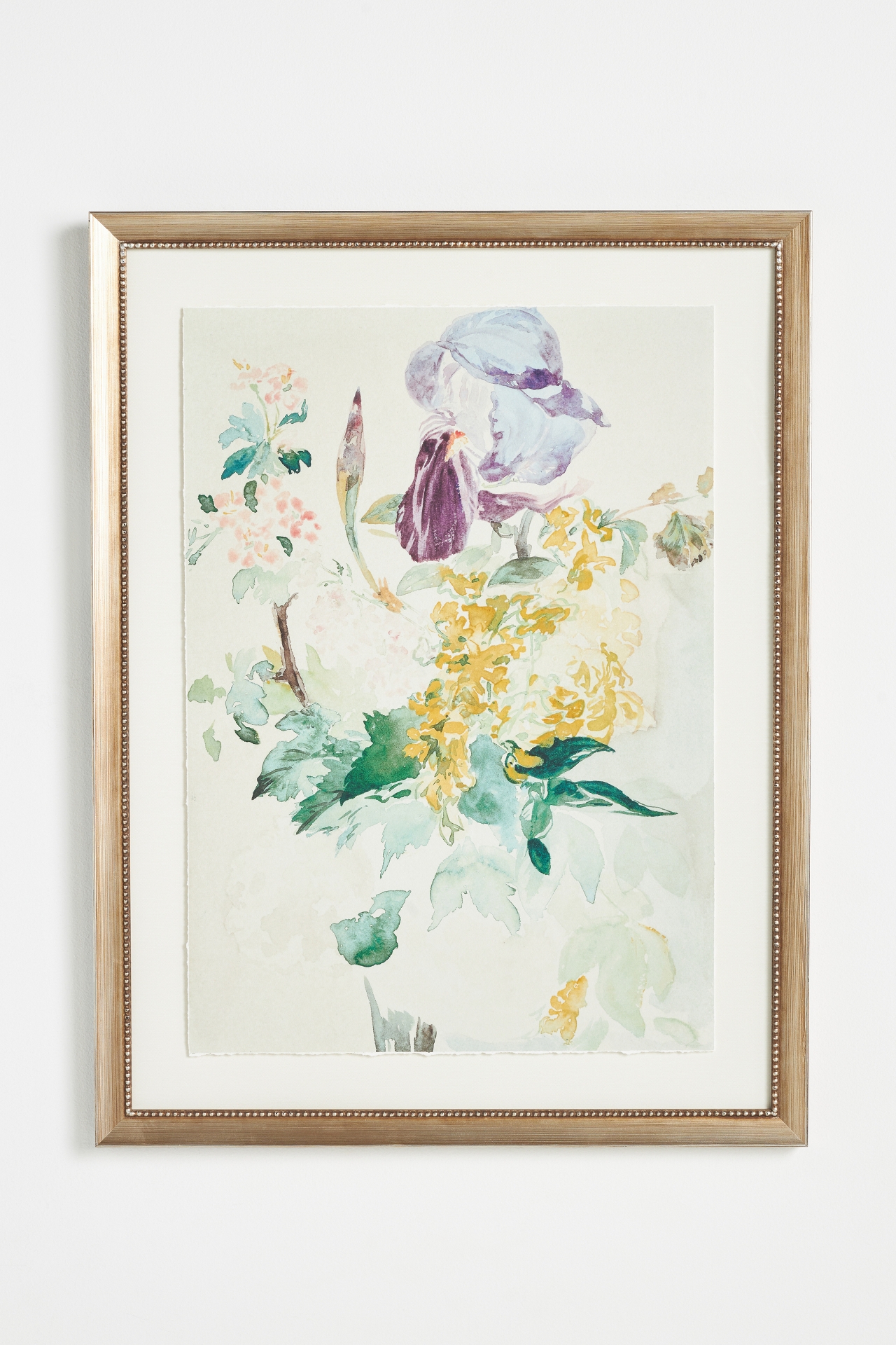 Iris Blossoms Wall Art