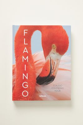 Anthropologie Flamingo In Pink
