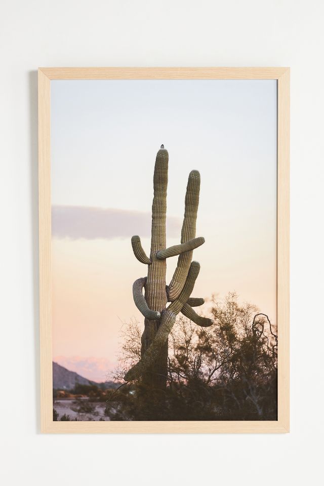 Arizona Wall Art | AnthroLiving