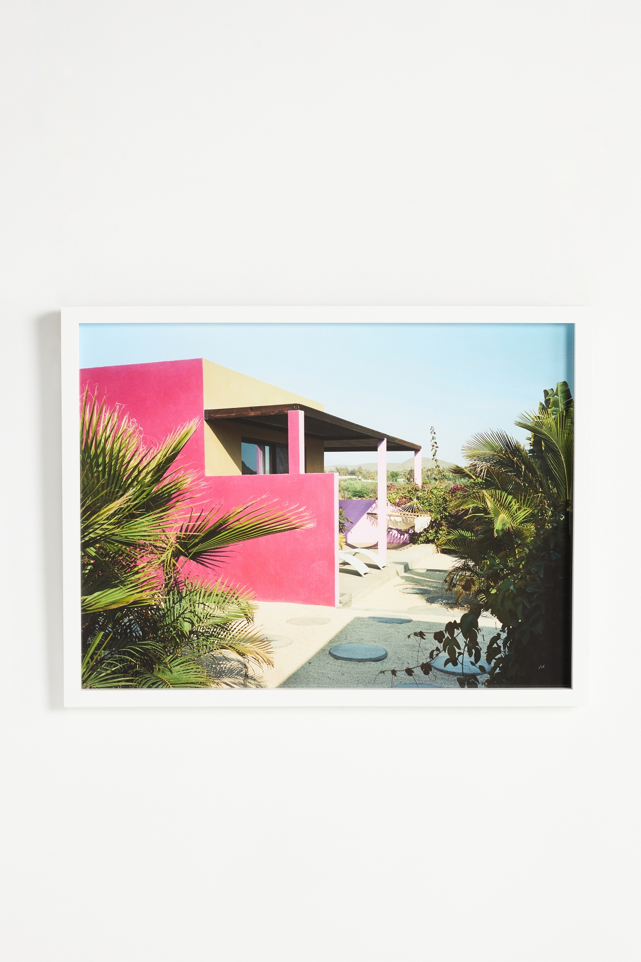 Fuchsia Vision Wall Art