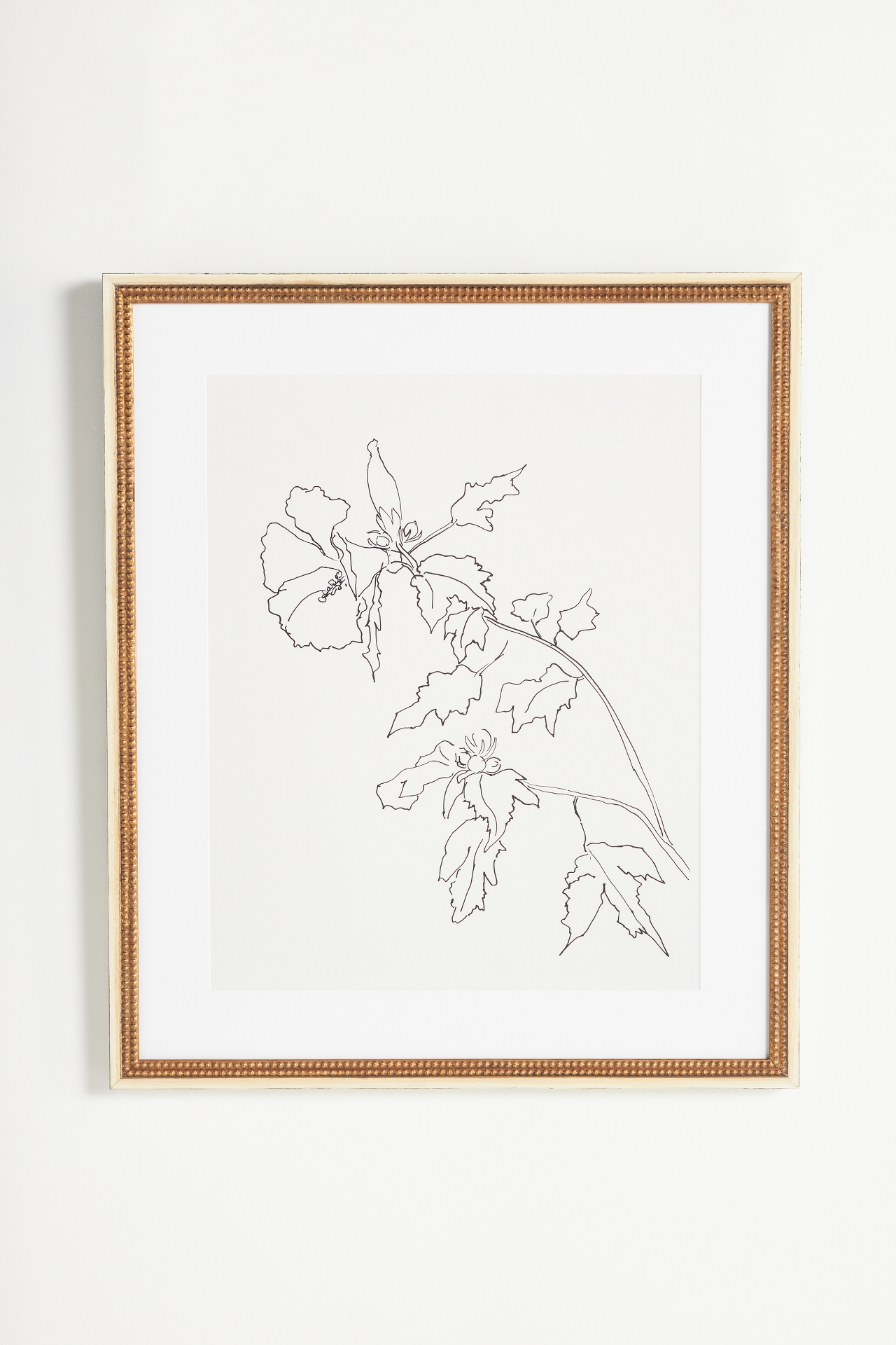 Rose of Sharon Flower Wall Art