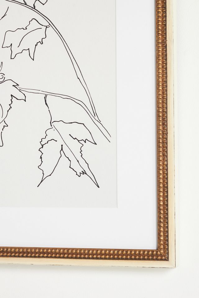 Rose of Sharon Flower Wall Art #2