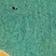 Green Pattern