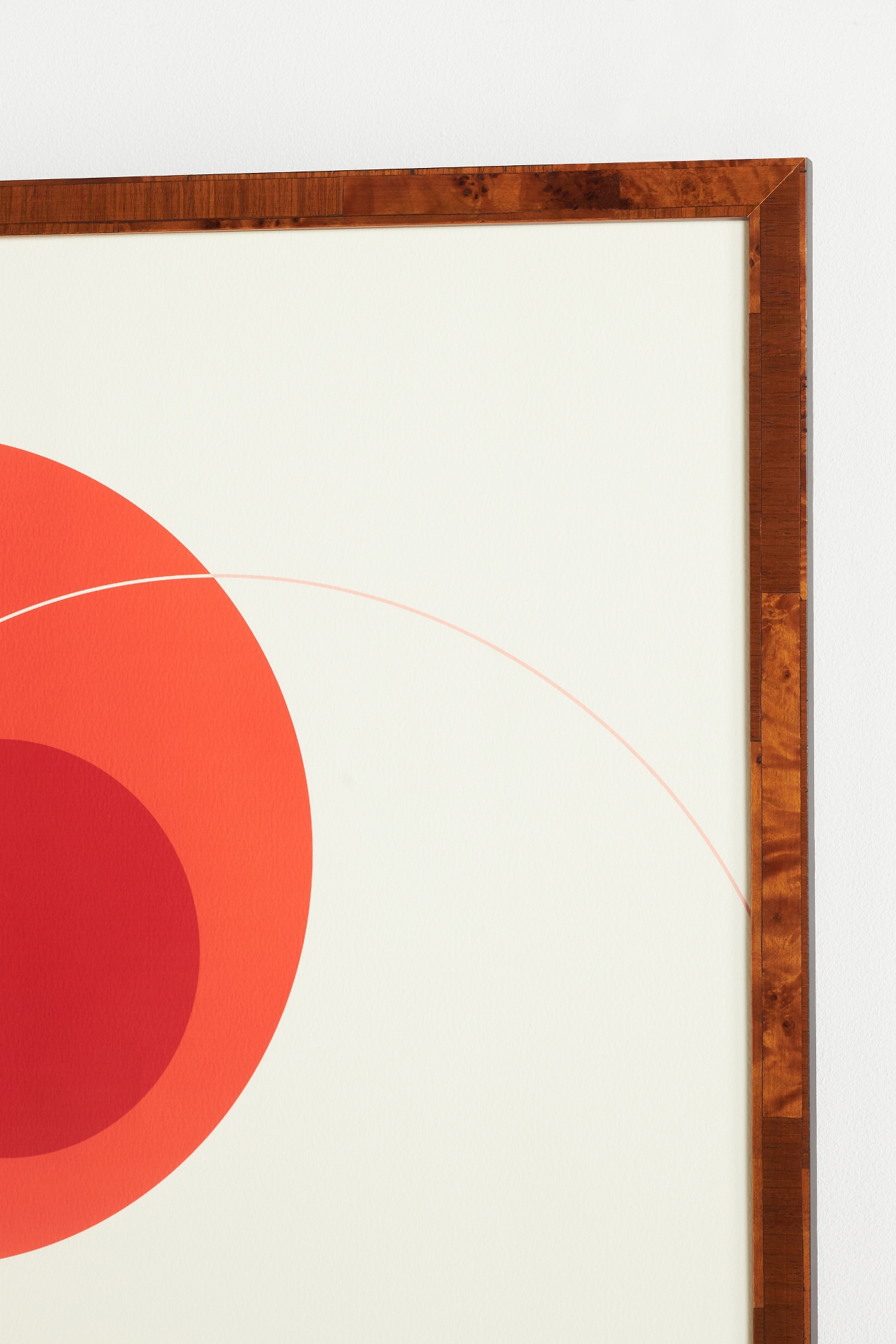 Orange Circular Composition Wall Art