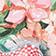 Pink Pattern