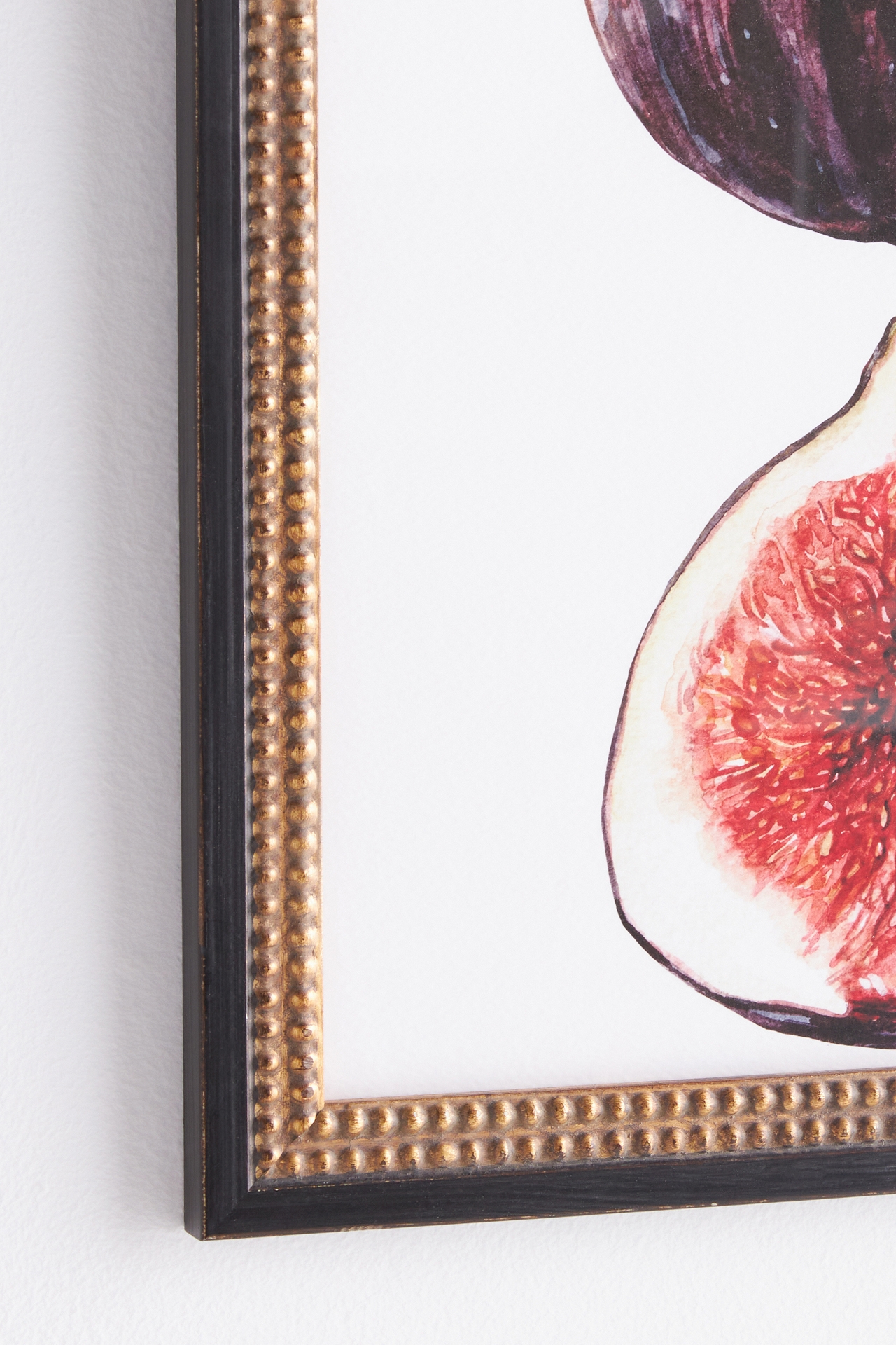 Watercolor Fig Wall Art