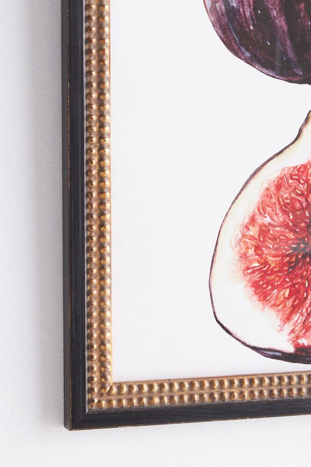 Watercolor Fig Wall Art #1