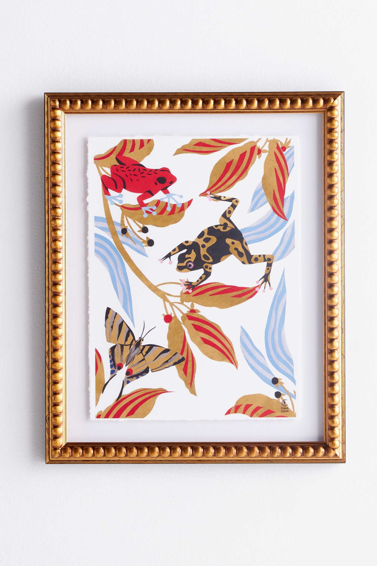 Frogs and Machaon Wall Art