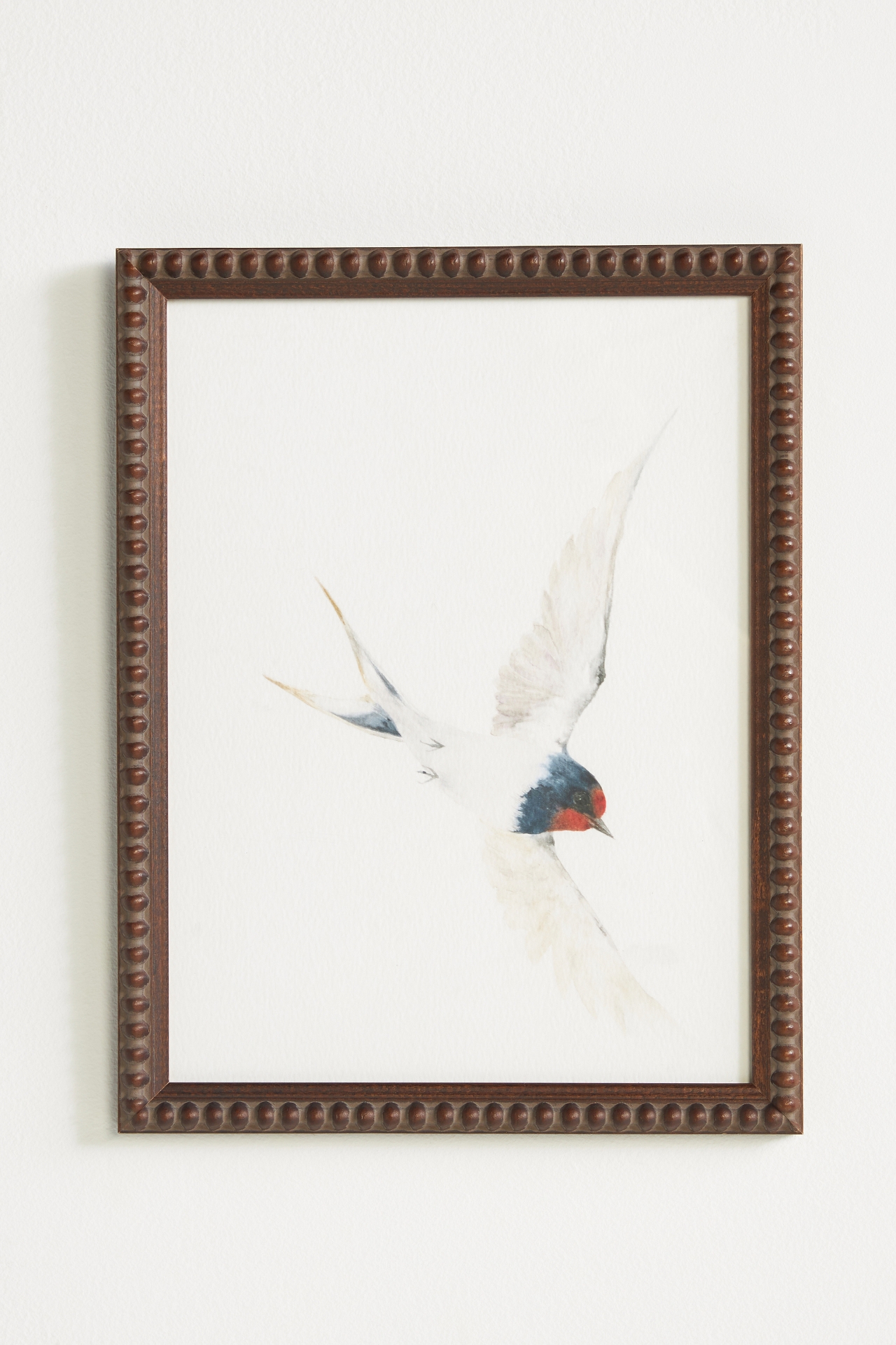 Swallow Wall Art