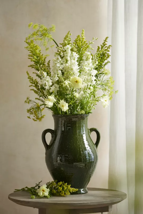 Elena Vase