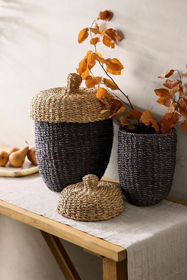 Acorn Baskets, Set of 2 | AnthroLiving