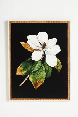 ARTFULLY WALLS WHITE MAGNOLIA WALL ART