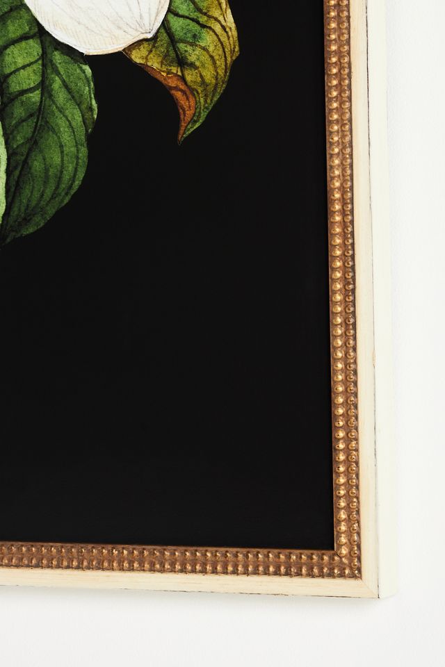 White Magnolia Wall Art #1