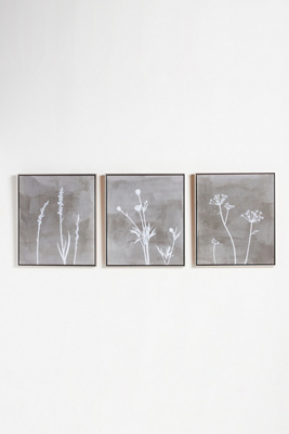 Anthropologie Lurid Wall Art