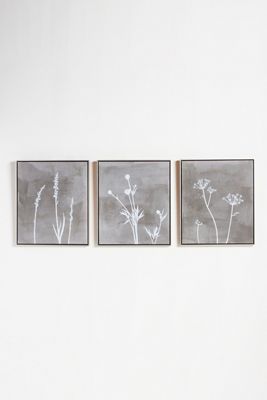 Lurid Wall Art
