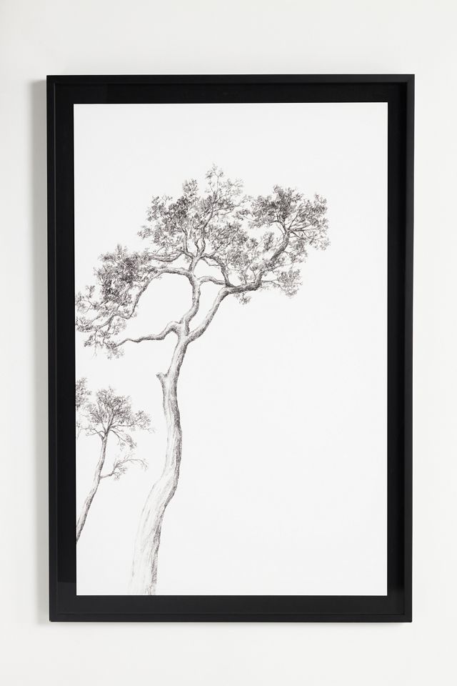 Forest Wanderer Wall Art #1