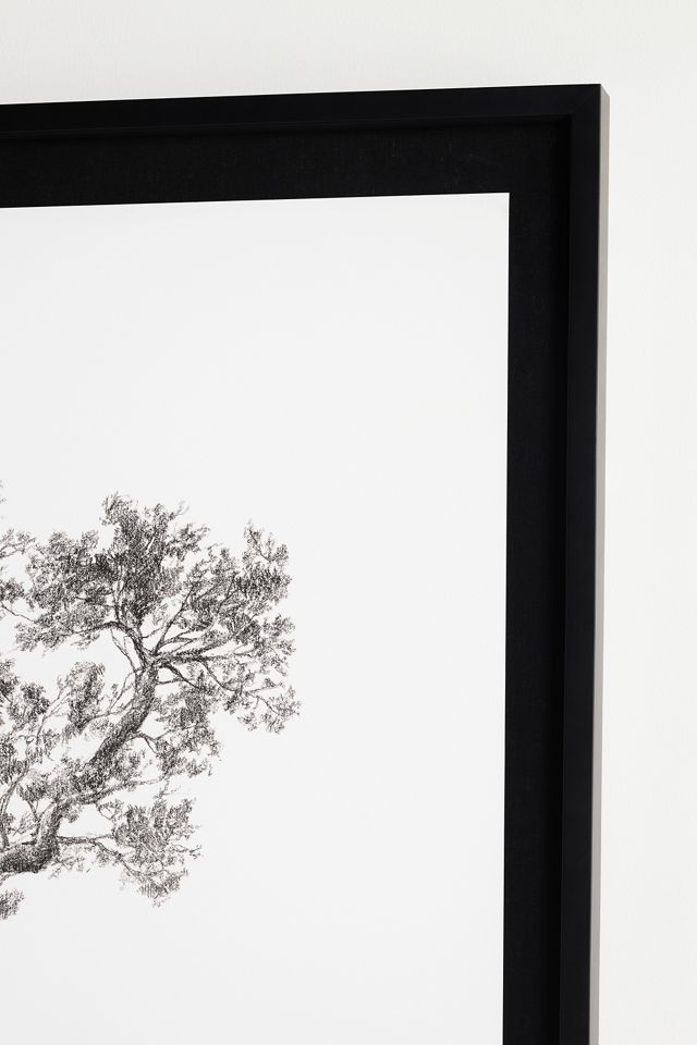 Forest Wanderer Wall Art #2