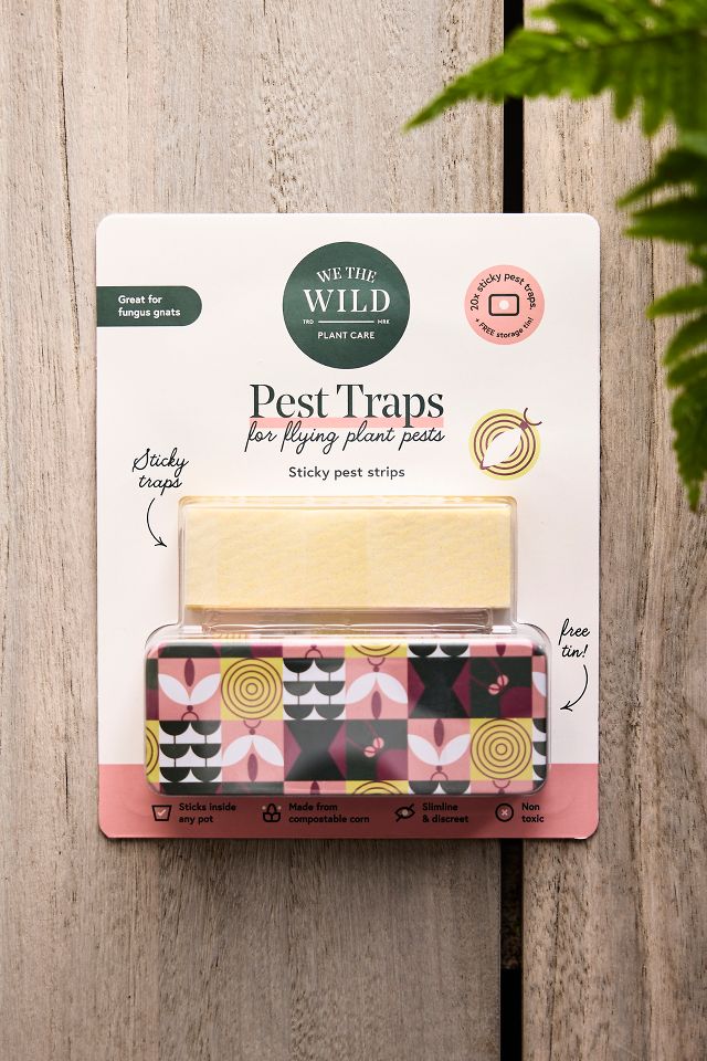 Pest Trap Sticky Planter Strips | Terrain