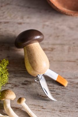 Shop Terrain Mushroom Hunter Keychain Tool In Multicolor
