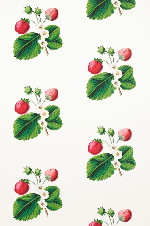 Schumacher x Johnson Hartig Strawberry Hill Wallpaper #2
