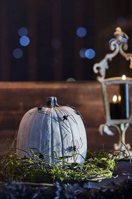 Spooky Spider Pumpkin Stakes, Set of 5