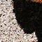 Black & White Pattern