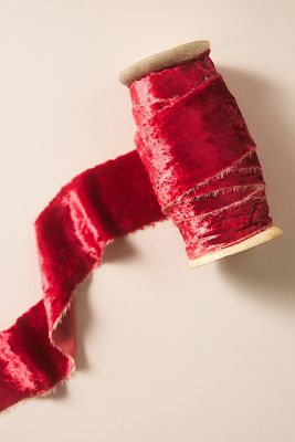 Shop Anthropologie Large Velvet Ribbon