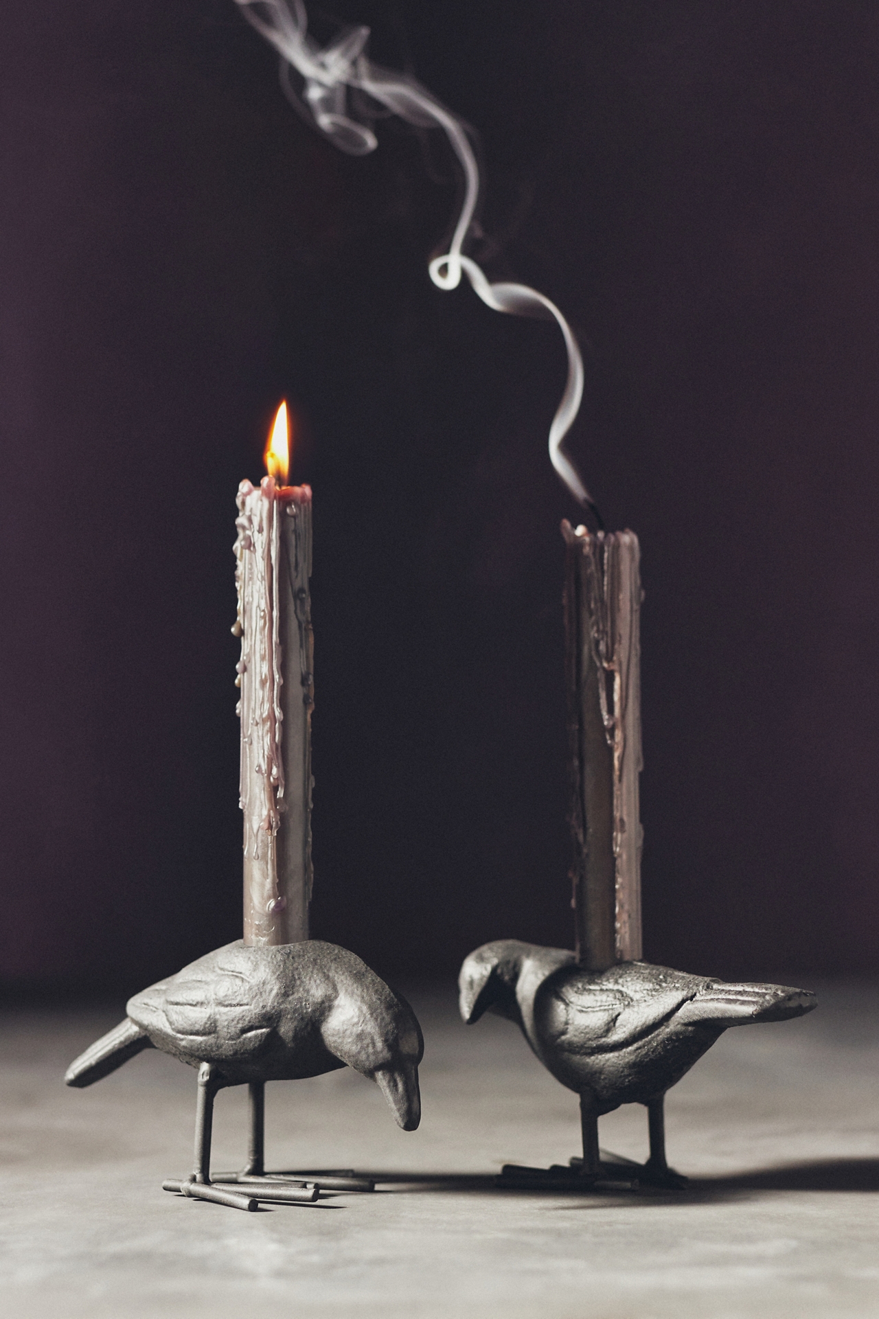 Crow Taper Candle Holder