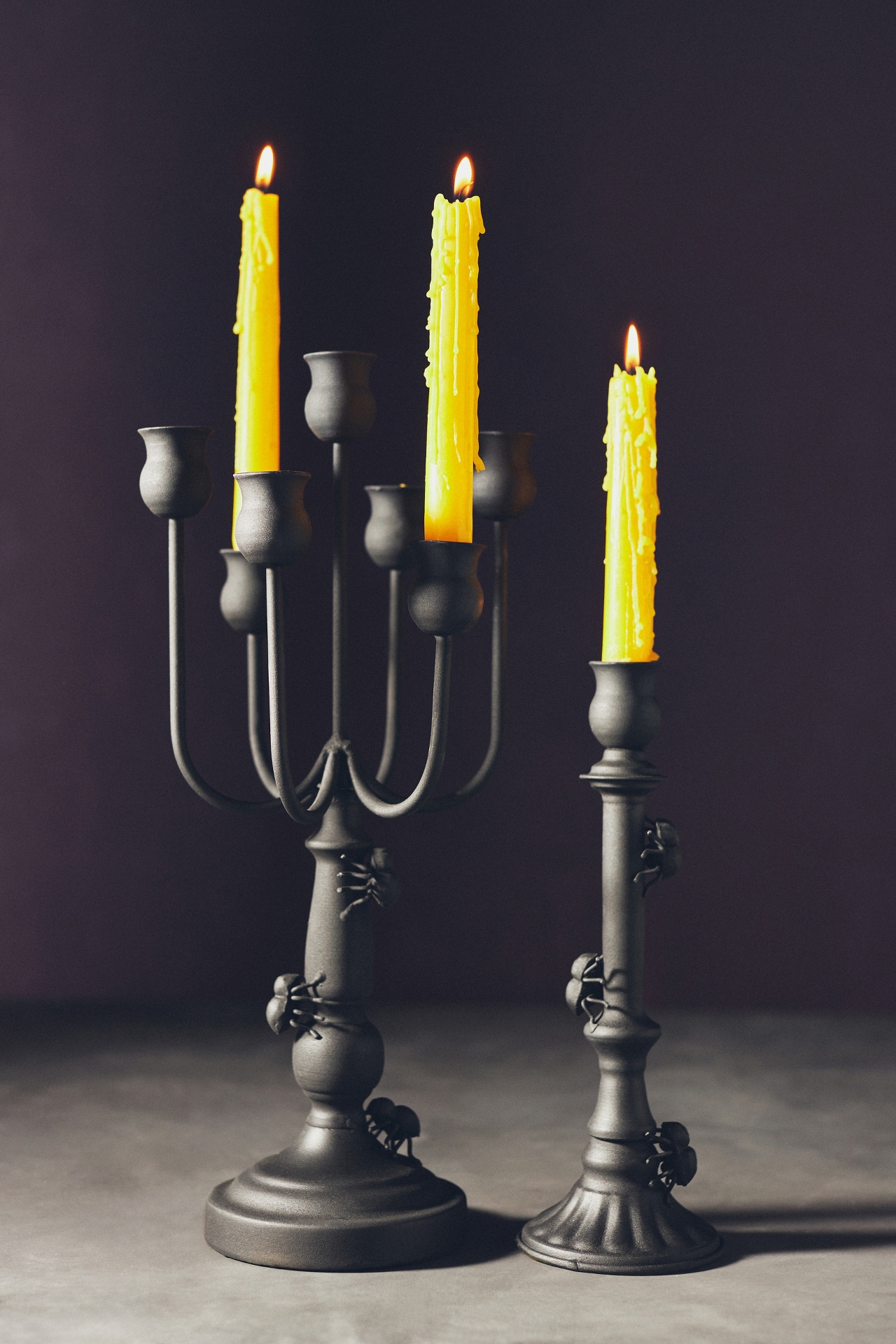 Spider Candlestick Holder