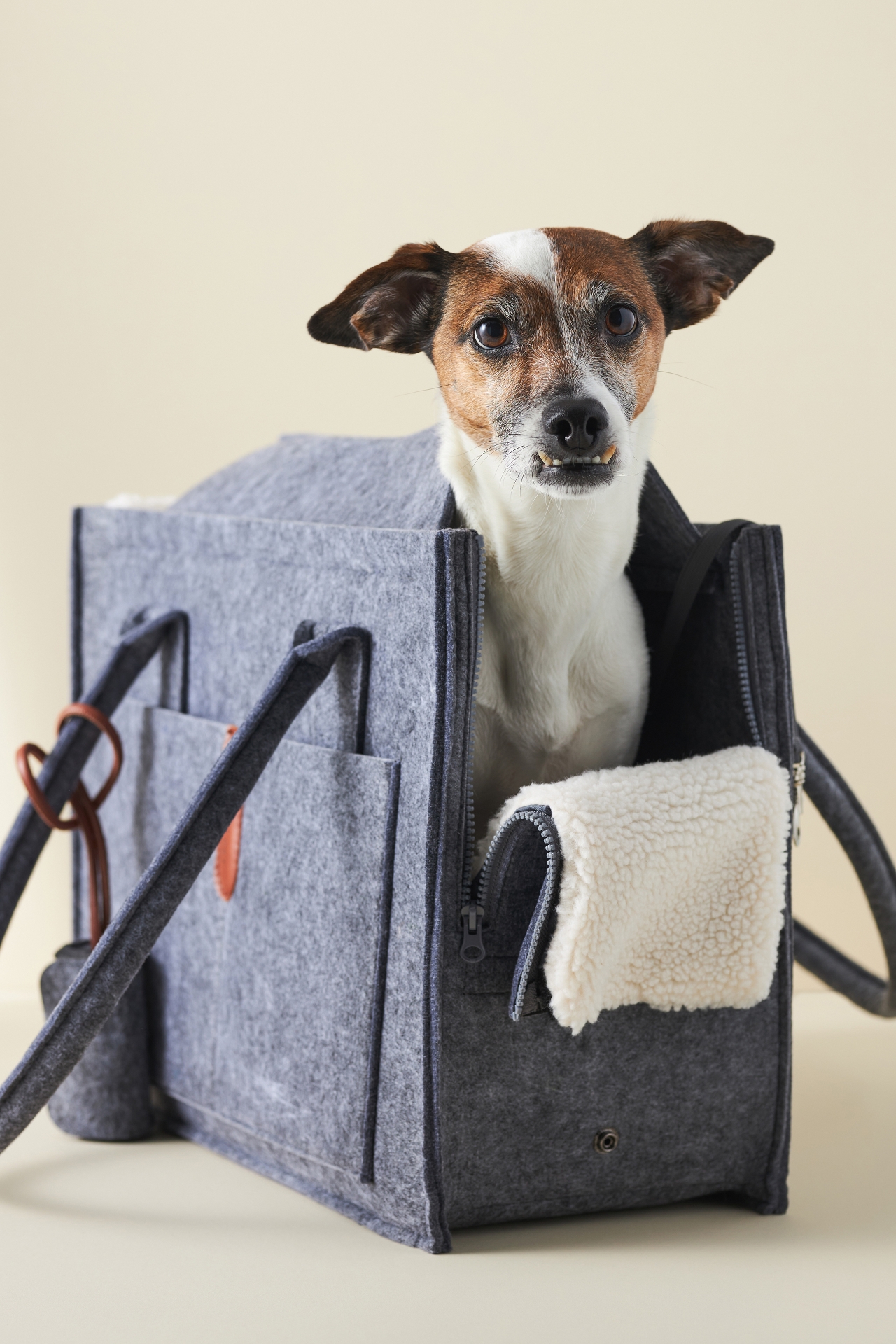 Nooee Pet Stella Dog Carrier