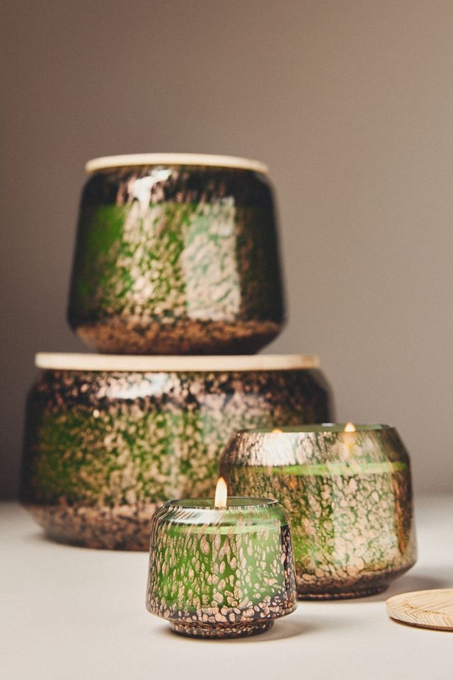 The Gather Candle by Anthropologie: Fresh Balsam & Cedarwood #1