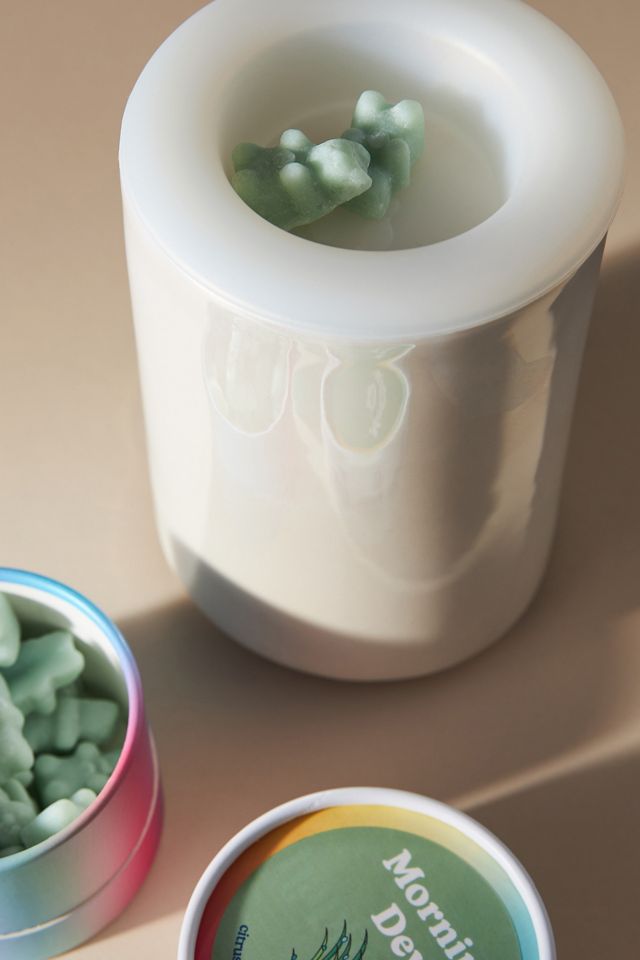 Happy Wax Iridescent Wax Warmer #2